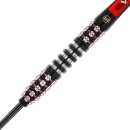 3er Set Steeldarts Winmau Joe Cullen Ignition SE