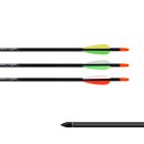 Carbonpfeil Easton Powerflight 340 31,0 Zoll