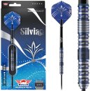 3er Set Steeldarts Bulls Silvian