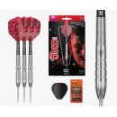 3er Set Steeldarts Target Nathan Aspinall The ASP Gen1