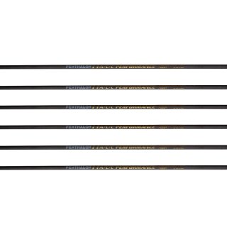 Penthalon Performance A/C/C Aluminium-Carbon Schaft (12 St.)