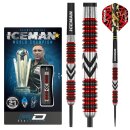 3er Set Steeldarts Red Dragon Gerwyn Price Firebird
