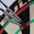 3er Set Steeldarts Bulls Dirk van Duijvenbode