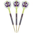 3er Set Steeldarts Target Luke Littler WC 2025 (SP) 23 g