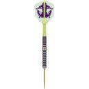 3er Set Steeldarts Target Luke Littler WC 2025 (SP) 23 g