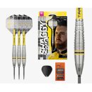 3er Set Steeldarts Target Scott Williams Shaggy G2 SP