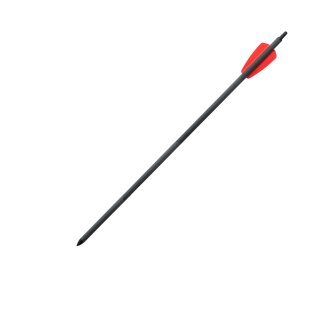 10 x  15” Ek Archery Carbonbolzen