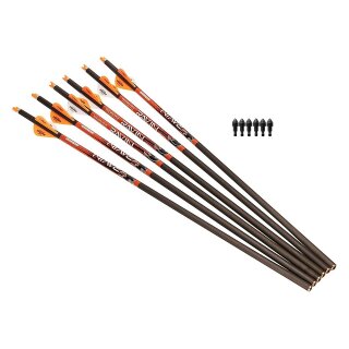 6 x 20" RAVIN Carbonbolzen 400 Gr .003 mit Bulletspitzen 100 gr