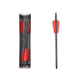 10x R9 Carbonbolzen 7,5"