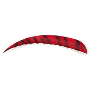 Rot