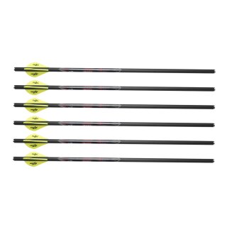 6x Excalibur Quill Carbonbolzen